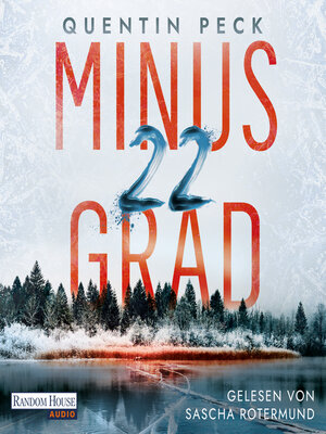 cover image of Minus 22 Grad